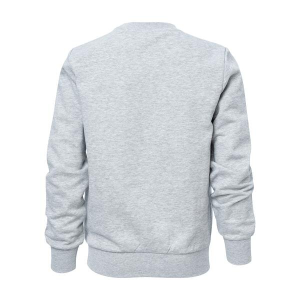 Crewneck sweatshirt champion legacy bērniem grey 306172em006 306172EM006 cena un informācija | Zēnu jakas, džemperi, žaketes, vestes | 220.lv