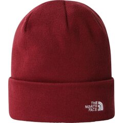 Norm beanie summit the north face unisex red nf0a5fw16r3 NF0A5FW16R3 цена и информация | Женские шапки | 220.lv