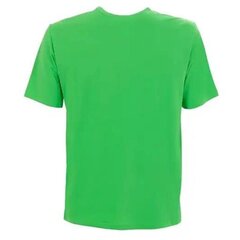 Crewneck t-shirt champion legacy vīriešiem green 218539gs024 218539GS024 цена и информация | Мужские футболки | 220.lv