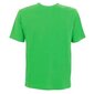 Crewneck t-shirt champion legacy vīriešiem green 218539gs024 218539GS024 cena un informācija | Vīriešu T-krekli | 220.lv