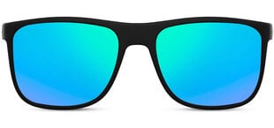 Vīriešu saulesbrilles Label L2971 цена и информация | Солнцезащитные очки для мужчин | 220.lv