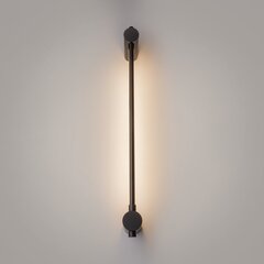 Sienas lampa Rotta Maytoni Modern MOD413WL-L6B3K cena un informācija | Sienas lampas | 220.lv