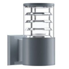 Sienas lampa Bronx Maytoni Outdoor O576WL-01GR цена и информация | Уличное освещение | 220.lv