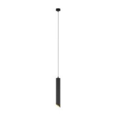 Технический подвесной светильник Maytoni Lipari P044PL-01-40GU10-B, черный с золотом цена и информация | Потолочный светильник | 220.lv