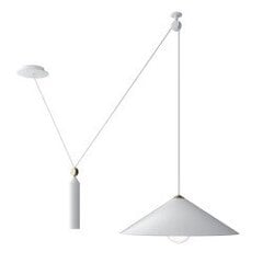 Piekaramā lampa Peso Maytoni Technical P080PL-01W цена и информация | Потолочные светильники | 220.lv