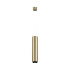 Piekaramā lampa Focus Maytoni Technical P075PL-01MG cena un informācija | Griestu lampas | 220.lv