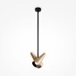 Piekaramā lampa Giro Maytoni Modern MOD095PL-02BS cena un informācija | Griestu lampas | 220.lv