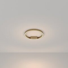 Piekaramā lampa Rim Maytoni Modern MOD058CL-L25BS3K cena un informācija | Griestu lampas | 220.lv
