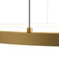 Piekaramā lampa Glint Maytoni Modern MOD072PL-L36BSK1 цена и информация | Griestu lampas | 220.lv