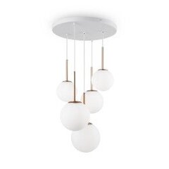 Piekaramā lampa Basic form Maytoni Modern MOD321PL-05G cena un informācija | Griestu lampas | 220.lv