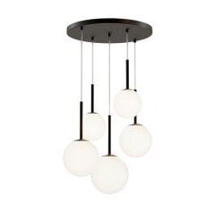 Подвесной светильник Maytoni Modern базовая форма MOD321PL-05B, матовый черный цена и информация | Потолочные светильники | 220.lv