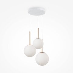 Piekaramā lampa Basic form Maytoni Modern MOD321PL-03G cena un informācija | Griestu lampas | 220.lv