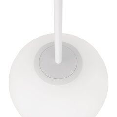 Piekaramā lampa Basic form Maytoni Modern MOD321PL-01W1 cena un informācija | Griestu lampas | 220.lv