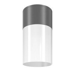 Griestu lampa Willis Maytoni Outdoor O418CL-01GR cena un informācija | Āra apgaismojums | 220.lv