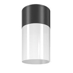 Griestu lampa Willis Maytoni Outdoor O418CL-01B цена и информация | Уличное освещение | 220.lv