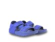 Sandal squirt b ps champion legacy bērniem blue s32630bs036 S32630BS036 cena un informācija | Bērnu sandales | 220.lv