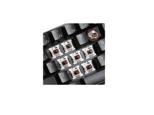 Royal Kludge Brown выключатель | Gateron (35 шт.) цена и информация | Клавиатуры | 220.lv