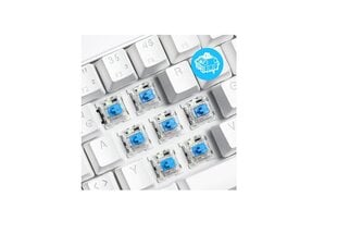 Royal Kludge Blue Gateron 35 vnt цена и информация | Клавиатуры | 220.lv