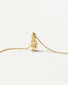 PDPAOLA Mūžīga zeltīta kaklarota ROBERT Gold CO01-412-U (ķēde, kulons) cena un informācija | Kaklarotas | 220.lv