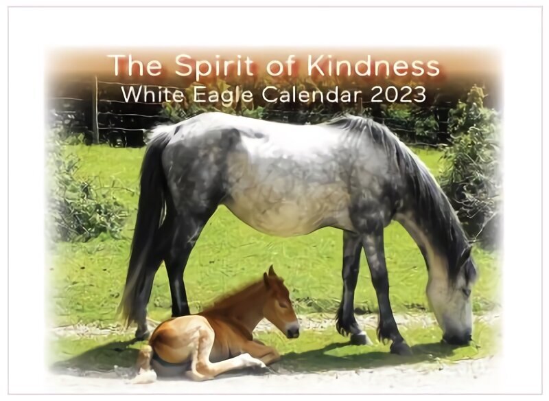 Spirit of Kindness - White Eagle Calendar 2023 цена и информация | Pašpalīdzības grāmatas | 220.lv