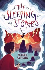 Sleeping Stones cena un informācija | Grāmatas pusaudžiem un jauniešiem | 220.lv