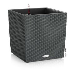 Lechuza pods Cube Cottage 40 cm cena un informācija | Puķu podi | 220.lv