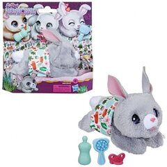 Plīša rotaļlieta Hasbro - Furreal Newborns Bunny | from Assort cena un informācija | Rotaļlietas meitenēm | 220.lv