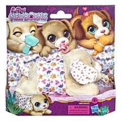 Интерактивная собачка FurReal Newborns, Hasbro цена и информация | Мягкие игрушки | 220.lv