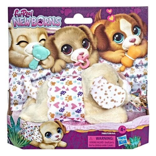 Mīkstā rotaļlieta Hasbro - FurReal Newborns Puppy Interactive Animatronic Plush | from Assort cena un informācija | Mīkstās (plīša) rotaļlietas | 220.lv