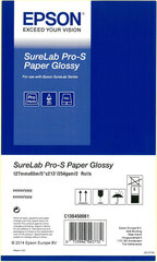 Epson SureLab Pro-S Paper Glossy BP 5x65 2 rolls 	C13S450061BP - цена и информация | Канцелярия | 220.lv