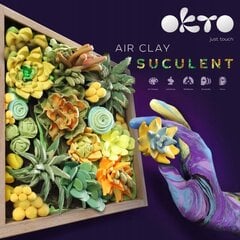 Творческий набор Wood&Craft DIY Succulents - Energy 21x21cm цена и информация | Принадлежности для рисования, лепки | 220.lv