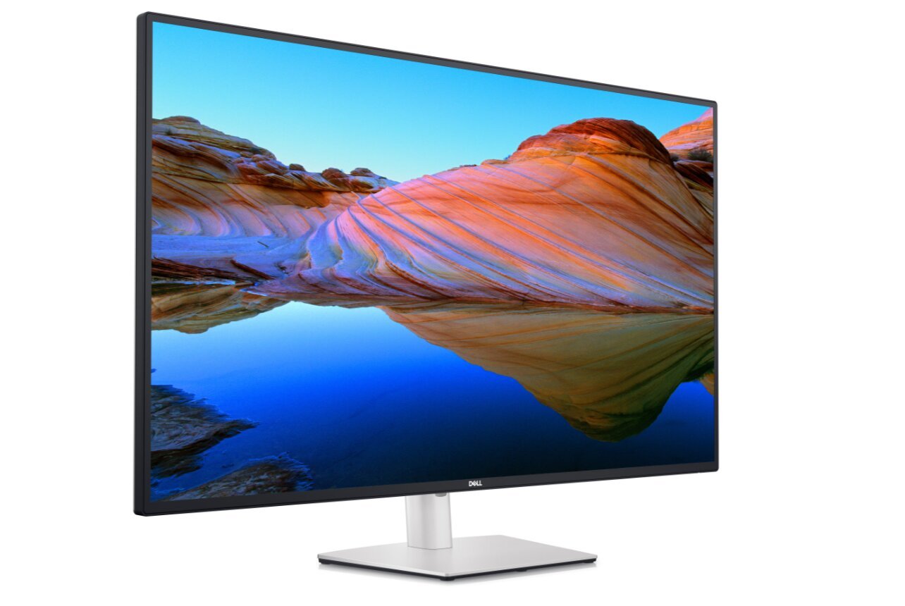 LCD Monitors|DELL|U4323QE|43 |4K|Panel IPS|3840x2160|16:9|60Hz|Matte|8 ms|Speakers|Swivel|Pivot|Height adjustable|Tilt|210-BFIS цена и информация | Monitori | 220.lv