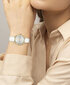 Hugo Boss pulkstenis 1502619 cena un informācija | Sieviešu pulksteņi | 220.lv