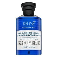 Keune 1922 Deep-Cleansing Shampoo Шампунь глубоко очищающий для мужчин 250 мл цена и информация | Шампуни | 220.lv
