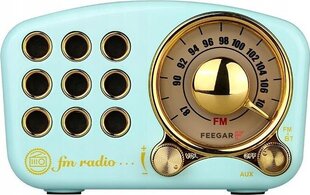 Feegar Retro SD AUX cena un informācija | Radioaparāti, modinātājpulksteņi | 220.lv