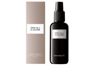 DAVID MALLETT Le Volume Volumizing Spray No.2, 150 ml цена и информация | Средства для укладки волос | 220.lv