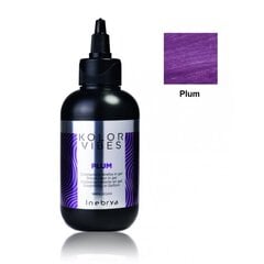Inebrya Kolor Vibes Plum, 150 ml цена и информация | Краска для волос | 220.lv