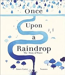 Once Upon a Raindrop: The Story of Water цена и информация | Книги для подростков и молодежи | 220.lv