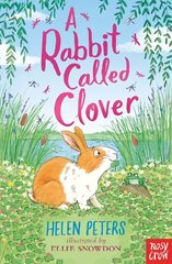 Rabbit Called Clover cena un informācija | Grāmatas pusaudžiem un jauniešiem | 220.lv