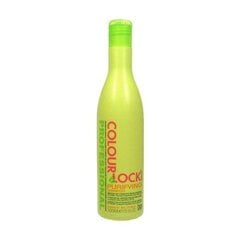BES Colour Lock Purifying šampūns, 300 ml цена и информация | Шампуни | 220.lv