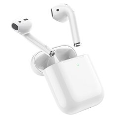 Borofone TWS Bluetooth Earphones BW31 White cena un informācija | Austiņas | 220.lv