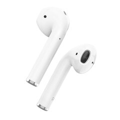 Borofone TWS Bluetooth Earphones BW31 White cena un informācija | Austiņas | 220.lv