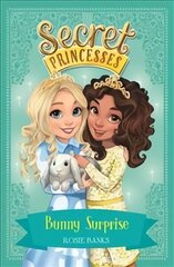 Secret Princesses: Bunny Surprise: Book 8 Illustrated edition, Book 8 цена и информация | Книги для подростков и молодежи | 220.lv
