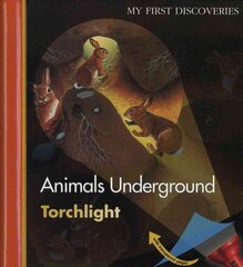 Animals Underground цена и информация | Книги для подростков и молодежи | 220.lv