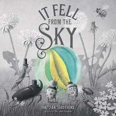 It Fell From The Sky цена и информация | Книги для малышей | 220.lv