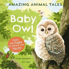 Amazing Animal Tales: Baby Owl 1 cena un informācija | Grāmatas mazuļiem | 220.lv