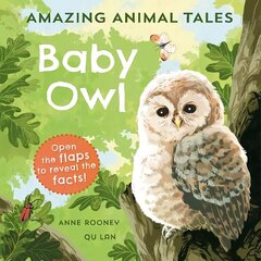 Amazing Animal Tales: Baby Owl 1 cena un informācija | Grāmatas mazuļiem | 220.lv