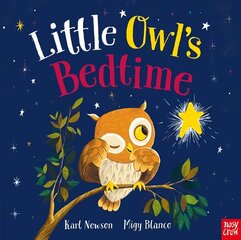 Little Owl's Bedtime Paperback cena un informācija | Grāmatas mazuļiem | 220.lv