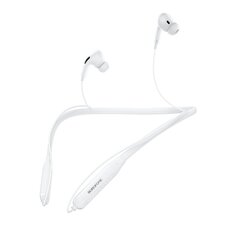 Borofone Sports earphones BE45 Delightful bluetooth white цена и информация | Наушники | 220.lv