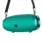 Borofone Portable Bluetooth Speaker BR12 Amplio turquoise cena un informācija | Skaļruņi | 220.lv